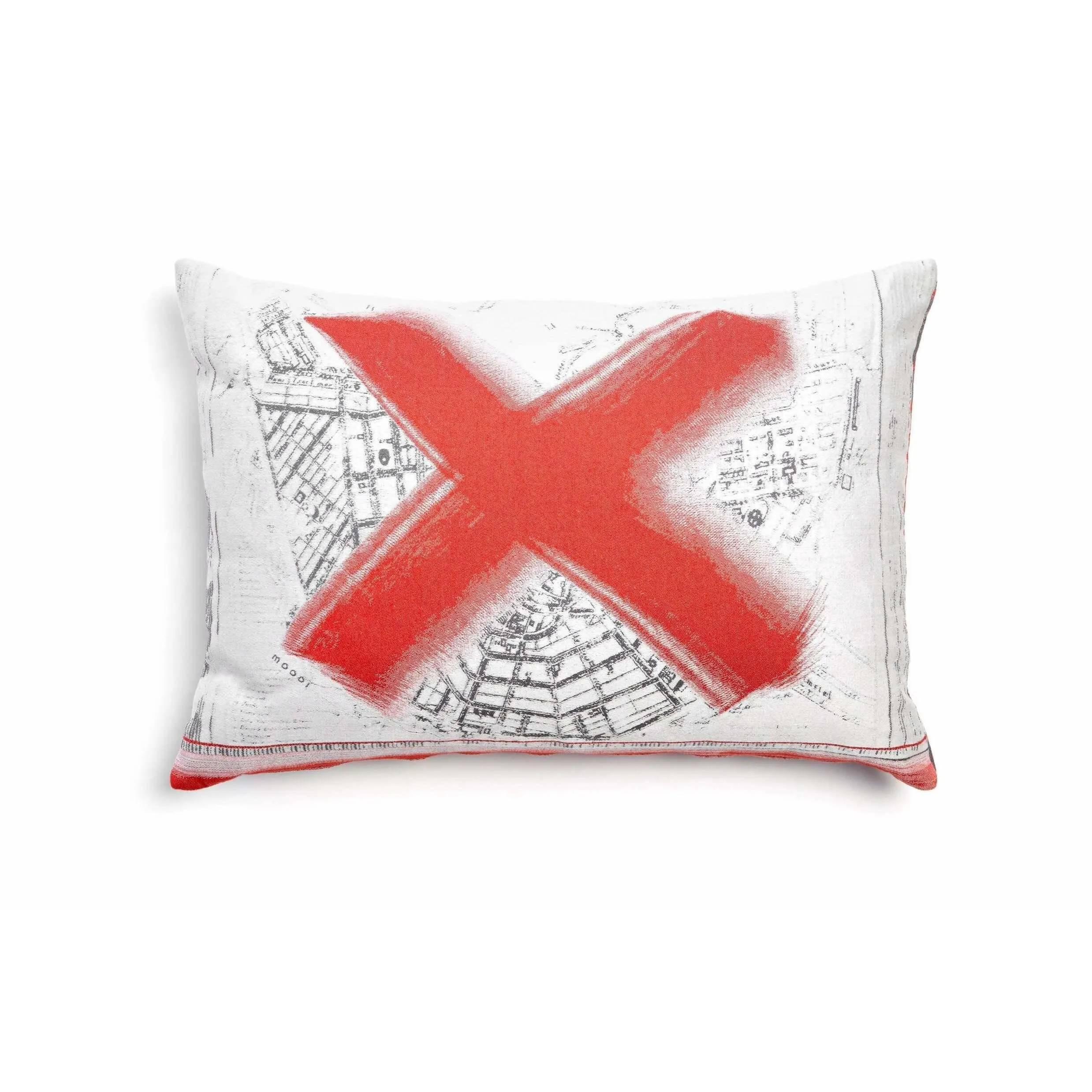 Moooi Oil Pillows